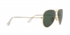 RB3025JM Aviator Full Color Sunglasses