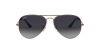 RB3025 Aviator Large Metal Sunglasses