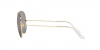 RB3025 Aviator Large Metal Sunglasses