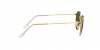 RB3447JM Round Full Color Sunglasses