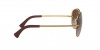 RB3449 Rb3449 Sunglasses