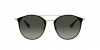 RB3546 Sunglasses