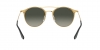 RB3546 Sunglasses