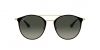 RB3546 Sunglasses