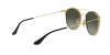 RB3546 Sunglasses