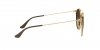 RB3546 Sunglasses