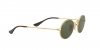 RB3547 Oval Sunglasses
