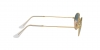 RB3547 Oval Sunglasses