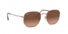 RB3548NL Hexagonal Sunglasses