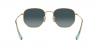RB3548NL Hexagonal Sunglasses