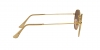 RB3548NL Hexagonal Sunglasses