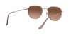 RB3548N Hexagonal Sunglasses