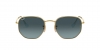 RB3548N Hexagonal Sunglasses