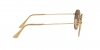 RB3548N Hexagonal Sunglasses