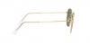 RB3548 Hexagonal Sunglasses