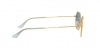 RB3556N Octagonal Sunglasses