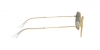 RB3556 Octagonal Sunglasses