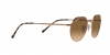 RB3565 Jack Sunglasses