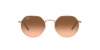 RB3565 Jack Sunglasses