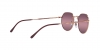 RB3565 Jack Sunglasses