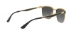 RB3569 Sunglasses