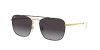 RB3588 Sunglasses