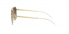 RB3588 Sunglasses