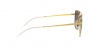 RB3588 Sunglasses