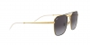 RB3588 Sunglasses