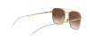 RB3588 Sunglasses