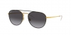 RB3589 Sunglasses