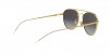 RB3589 Sunglasses