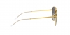 RB3589 Sunglasses