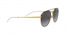 RB3589 Sunglasses