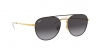 RB3589 Sunglasses