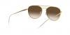 RB3589 Sunglasses
