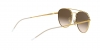 RB3589 Sunglasses