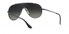 RB3597 Wings Sunglasses