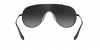 RB3597 Wings Sunglasses