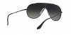 RB3597 Wings Sunglasses