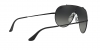 RB3597 Wings Sunglasses