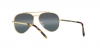 RB3625 New Aviator Sunglasses