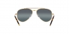 RB3625 New Aviator Sunglasses