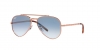 RB3625 New Aviator Sunglasses
