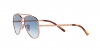 RB3625 New Aviator Sunglasses