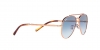 RB3625 New Aviator Sunglasses