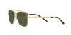 RB3636 New Caravan Sunglasses