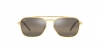 RB3636 New Caravan Sunglasses