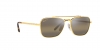 RB3636 New Caravan Sunglasses