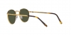RB3637 New Round Sunglasses